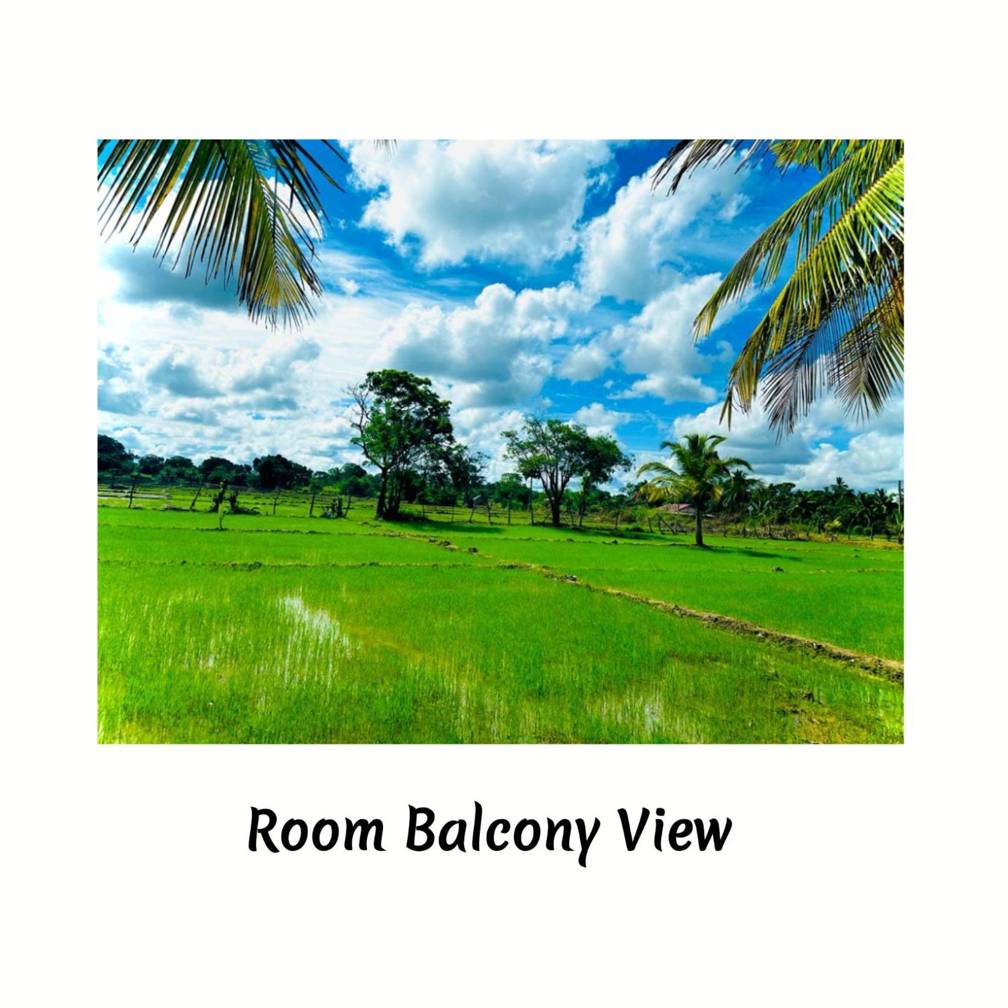 Green Sapphire Holiday Resort Wilpaththu Wilpattu Exterior photo